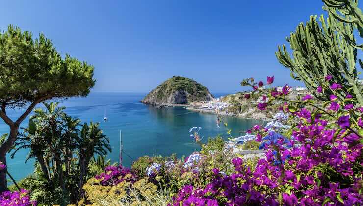 ischia vacanza